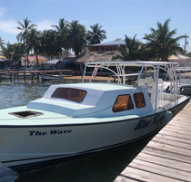 Dive boat - The Wave