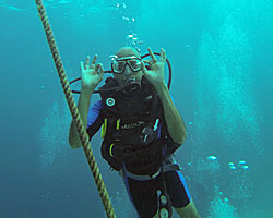 padi open water diver course