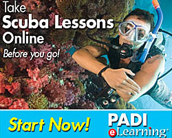 padi eLearning