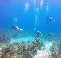 padi open water diver course